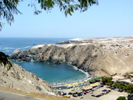 Catarindo