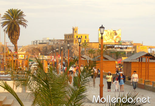 Molledo