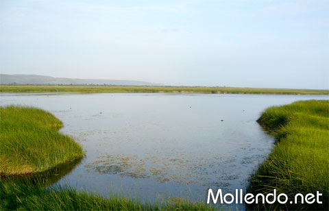 Lagunas de Mejía